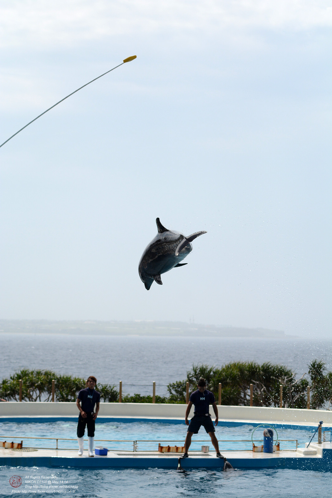 DSC_3073.jpg